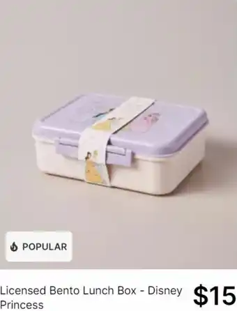 Licensed bento lunch box- disney princess