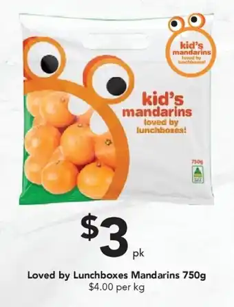 Drakes Loved by Lunchboxes Mandarins 750g offer
