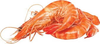 Woolworths Fresh Medium Cooked Australian Tiger Prawns offer