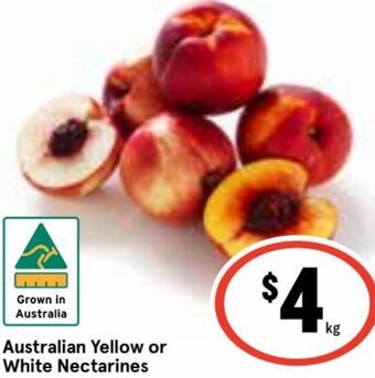 Ritchies Australian Yellow or White Nectarines offer