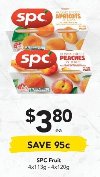 SPC Fruit 4x113g-4x120g