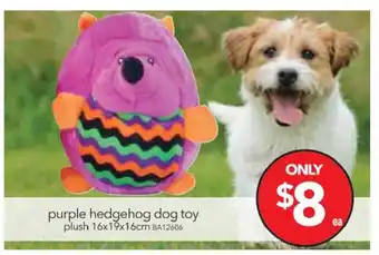 Purple Hedgehog Dog Toy Plush 16x19x16cm