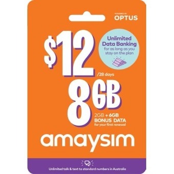 BIG W Amaysim $12 starter pack# offer