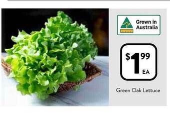 Foodworks Green oak lettuce offer