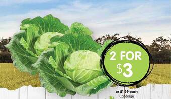 Spudshed Cabbage offer