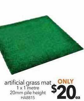 Cheap as Chips Artificial grass mat 1 x 1 metre offer