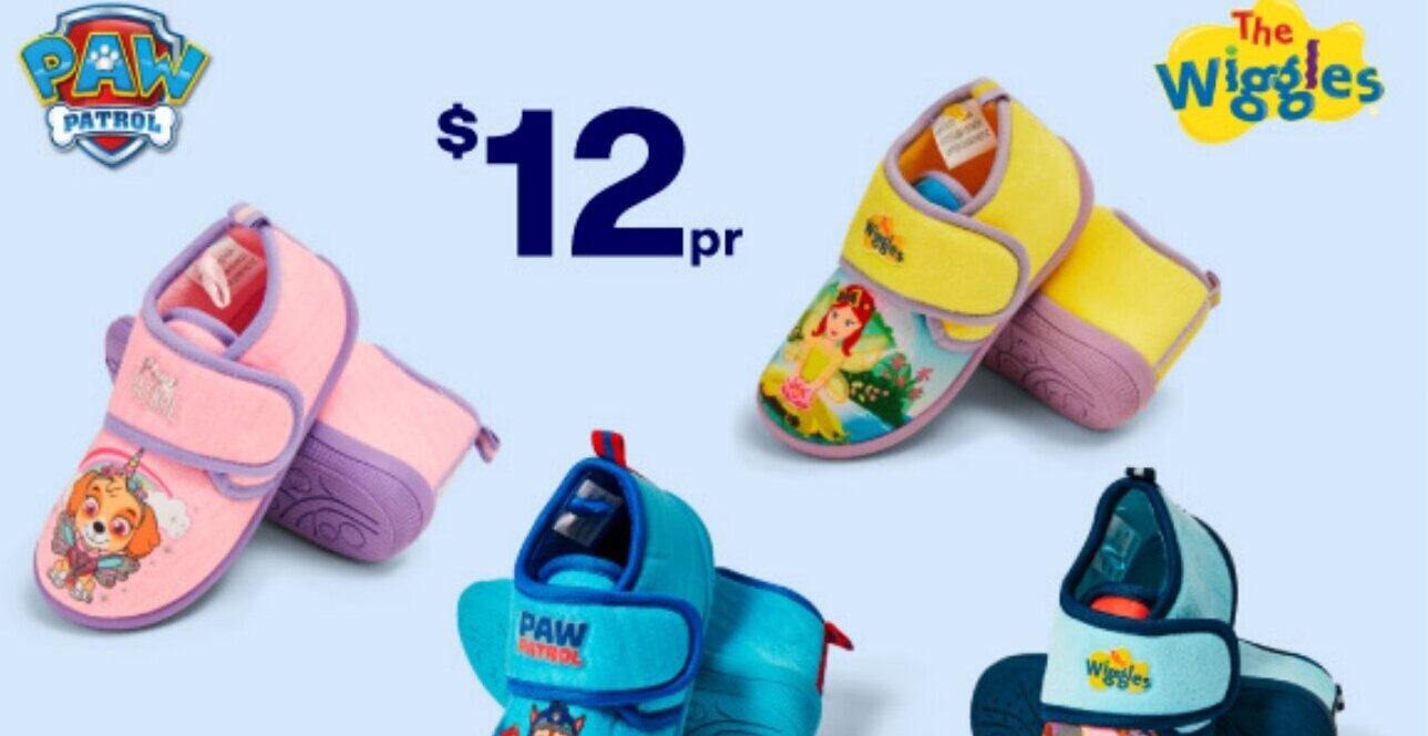 paw patrol slippers big w