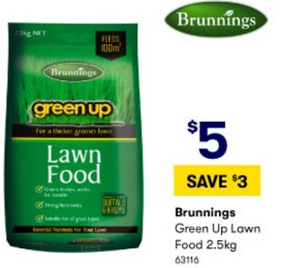 BIG W Brunnings Green Up Lawn Food 2.5Kg offer