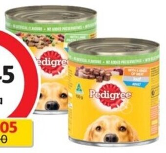 Coles Pedigree Dog Food 700g offer