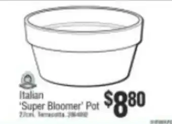 Bunnings Italian Super Bloomer Pot offer