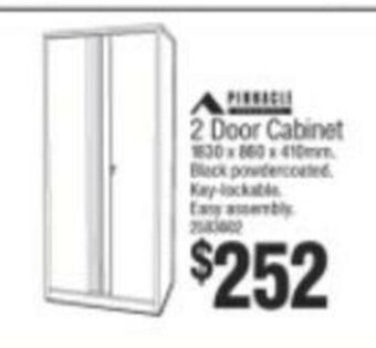 2 Door Cabinet