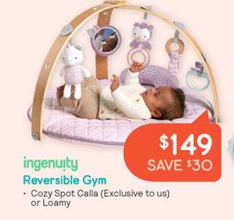 Ingenuity reversible gym