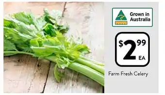 Foodworks Celery offer