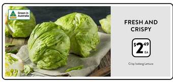 Foodworks Crisp iceberg lettuce offer