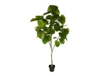 LivingStyles Real Touch Artificial Ficus Umbellata in Pot, 200cm offer