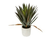 LivingStyles Artificial Yucca Gloriosa in Cement Pot, 48cm offer