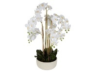 LivingStyles Real Touch Artificial Orchid in Ceramic Bowl, 100cm offer