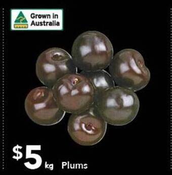 Ritchies Plums offer