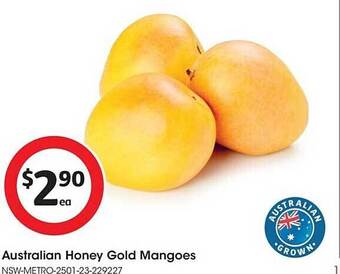 Australian honey gold mangoes