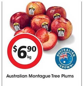 Coles Australian montague tree plums offer