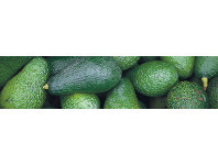 Foodworks Hass Avocados offer