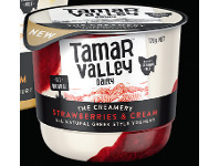 Foodworks Tamar Valley Yoghurt 170g offer