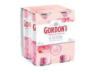 Liquorland Gordons Pink & Soda Can 250ml offer