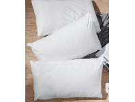 Ultra-Fresh™ Health Pillow