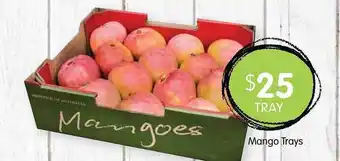 Mango trays