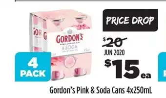 Liquorland Gordon's Pink & Soda Cans 4x250ml offer