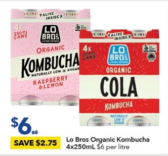 Ritchies Lo Bros Organic Kombucha 4x250ml offer