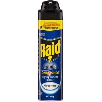 BIG W Raid one shot flying insect killer odourless 320g offer