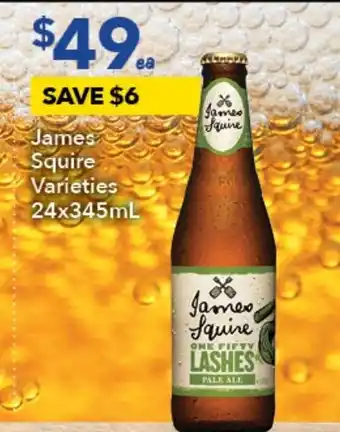 James Squire Varieties 24x345mL