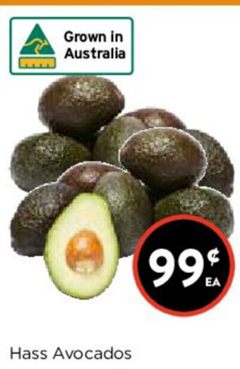 Foodworks Hass Avocados offer