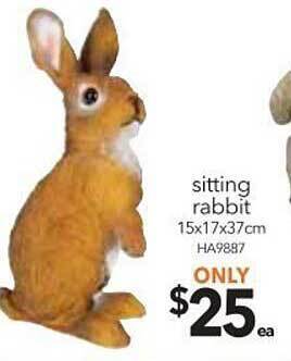 Cheap as Chips Sitting rabbit offer