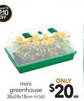 Cheap as Chips Mini greenhouse offer