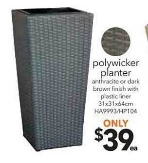 Cheap as Chips Polywicker planter offer