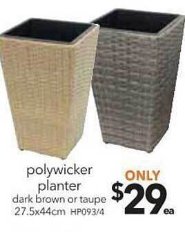 Cheap as Chips Polywicker planter offer