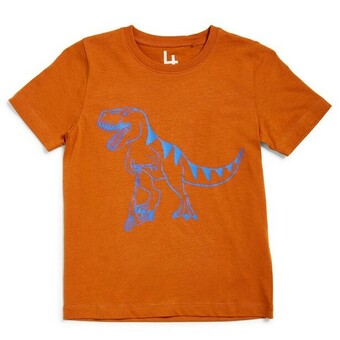 BIG W Brilliant Basics Kids Print Tee - Rust offer