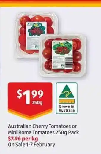 Australian cherry tomatoes or mini roma tomatoes pack