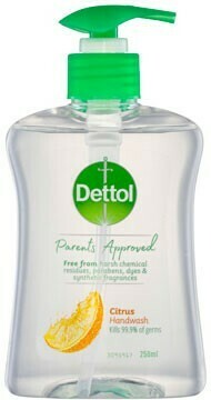 BIG W Dettol Parents Approved Citrus Hand Wash 250mL offer