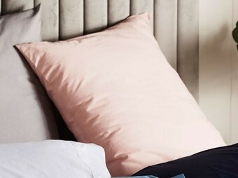 BIG W House & Home 250 Thread Count Cotton Rich Euro Pillow Case offer