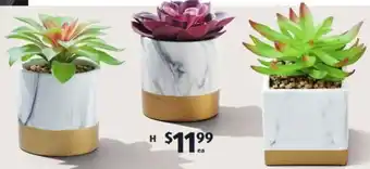 ALDI Artificial Plants in Decorative Pots offer