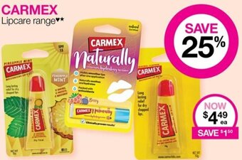 Carmex Lipcare Range