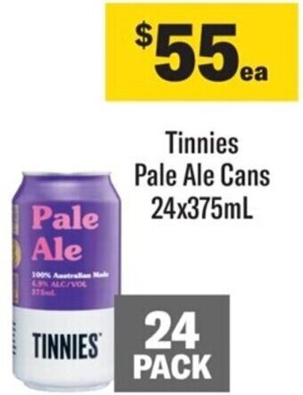 Coles Tinnies Pale Ale Cans 24x375ml offer