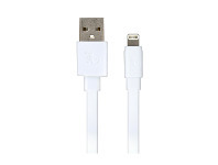BIG W Gecko Lightning to USB Flat 1m Cable offer