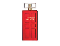 Terry White Elizabeth Arden Red Door EDT Spray 100ml offer