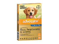 Good Price Pharmacy Advocate Extra Large Dog 25kg+ 6 Pack offer