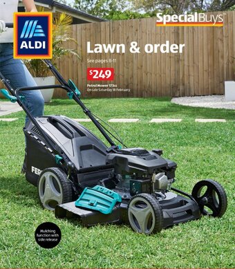 Petrol Mower 173cc