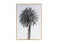 Kmart Palm Framed Canvas offer